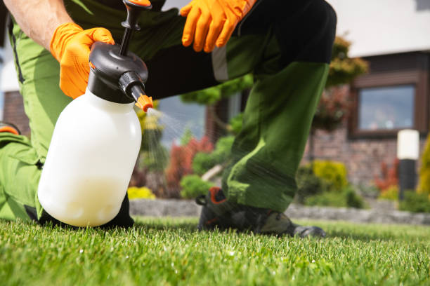 Best Commercial Pest Control Services  in Powell, TN