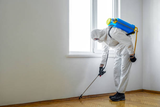 Pest Control Cost in Powell, TN