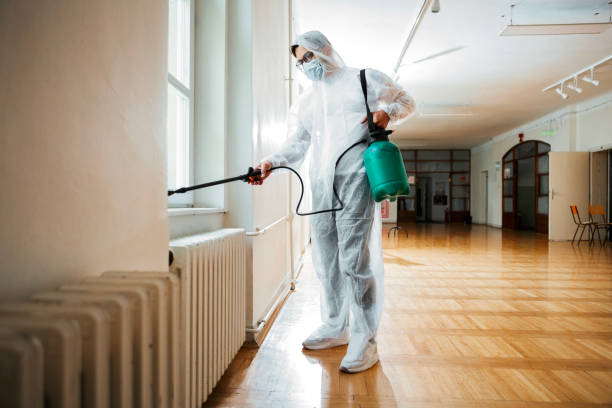 Best Pest Prevention Services  in Powell, TN