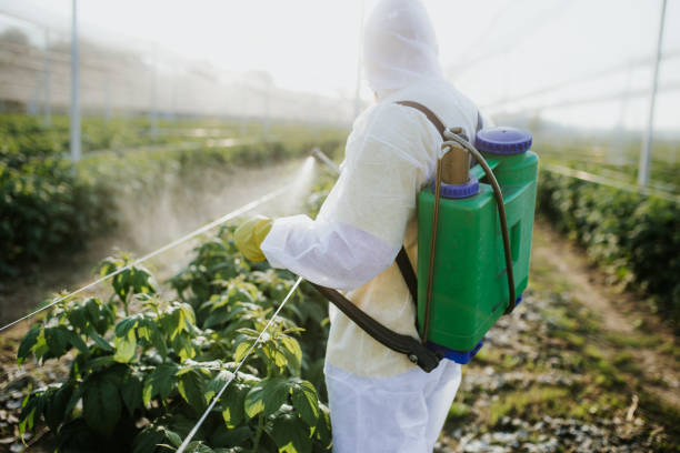 Best Affordable Exterminators  in Powell, TN